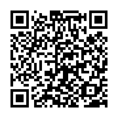 QR code for NIN459
