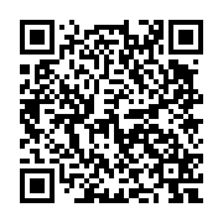 QR code for plate NIQ 425