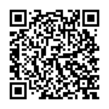 QR code for plate NIU 376