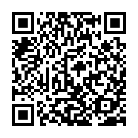 QR code for plate NKQ 389