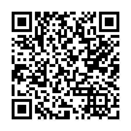 QR code for NLK 393