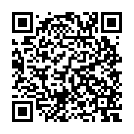 QR code for NMP 341