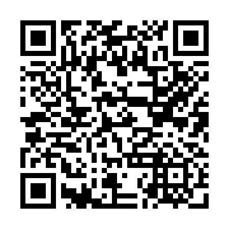 QR code for plate NNH 339