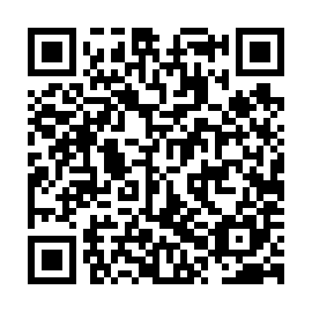QR code for NPD 685