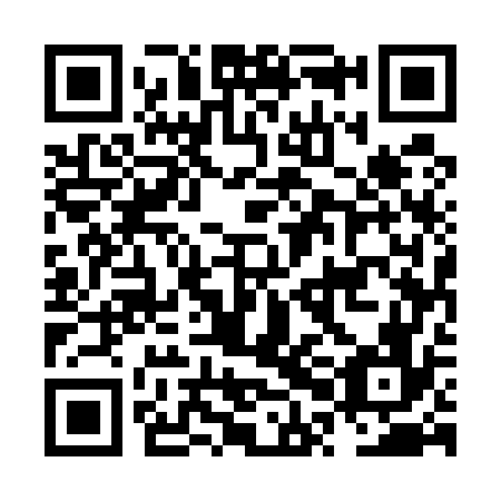 QR code for plate NPE 576