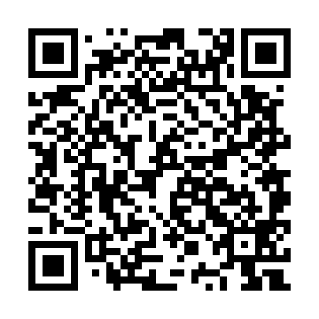 QR code for plate NPF 599