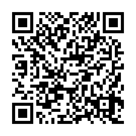 QR code for NPP 938