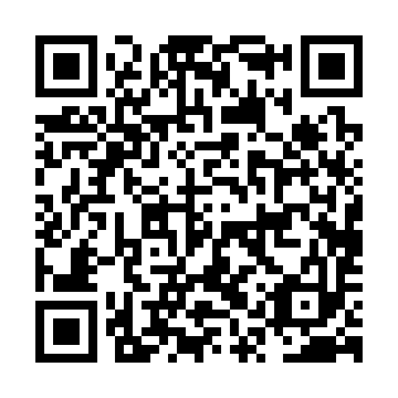 QR code for NQP 393