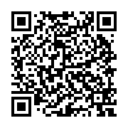 QR code for plate NSI 299