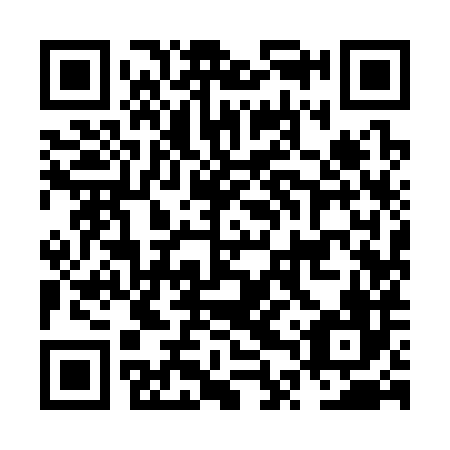 QR code for plate NTY 386