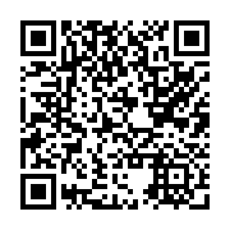 QR code for plate NUR 033