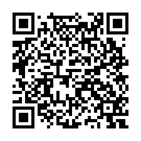 QR code for plate NVS 313