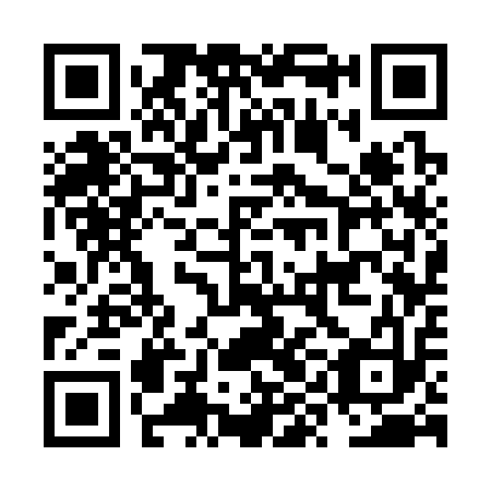 QR code for NYC 313