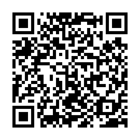 QR code for NYE 619
