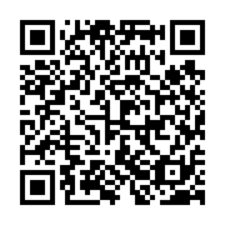QR code for plate OBM 611