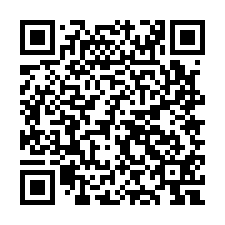 QR code for plate OIE 111