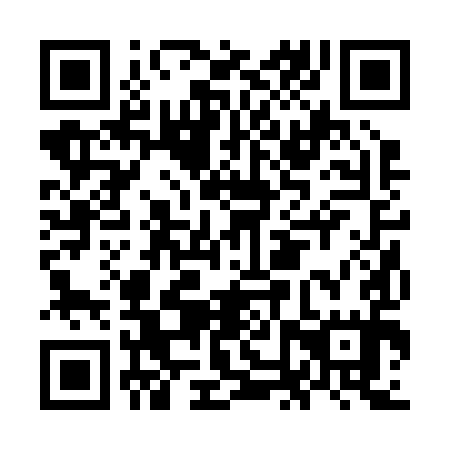 QR code for ONR 295