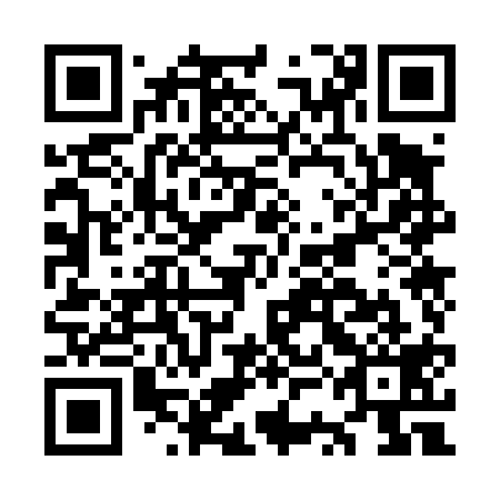 QR code for plate OSO 419