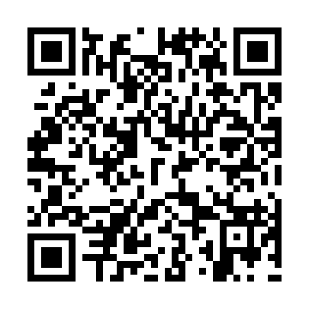 QR code for OZL 393