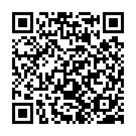 QR code for OZU 771