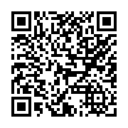 QR code for plate PAE 855