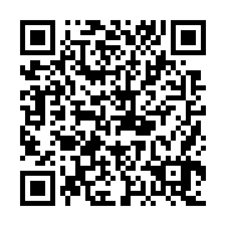 QR code for PAJ 767