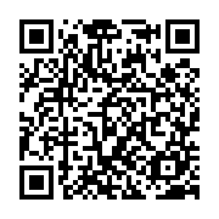 QR code for plate PAO 545