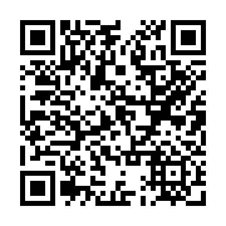 QR code for PAP 339