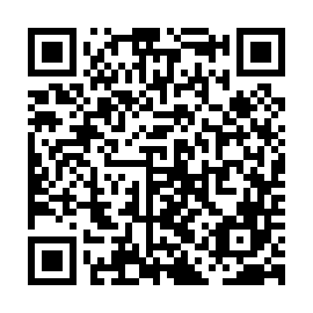 QR code for PAS 046