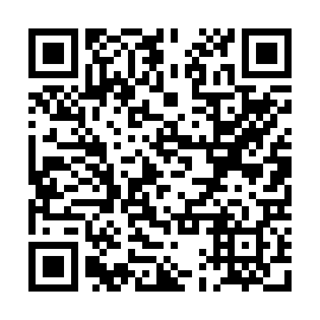 QR code for PAT 228