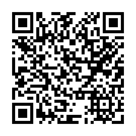 QR code for PAT306