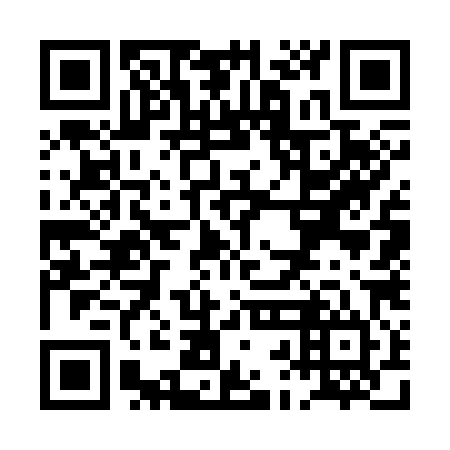 QR code for PBG 384