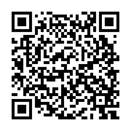 QR code for plate PCP 383