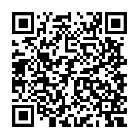 QR code for PFN 541
