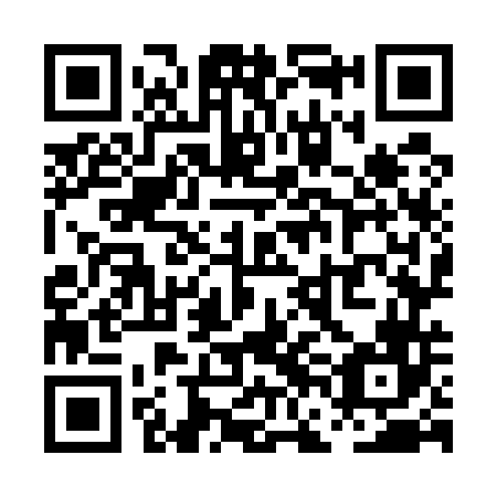QR code for plate PFO 546