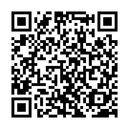QR code for plate PGG 368