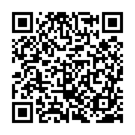 QR code for plate PIO 563