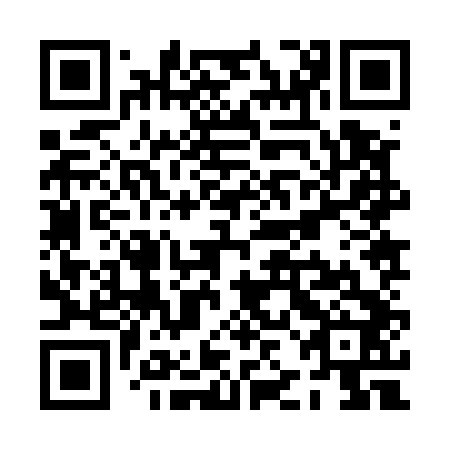 QR code for plate PJJ 542