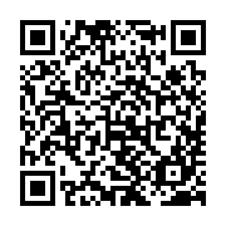QR code for plate PKB 384