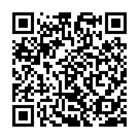 QR code for PKW 238