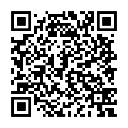 QR code for PKX 539