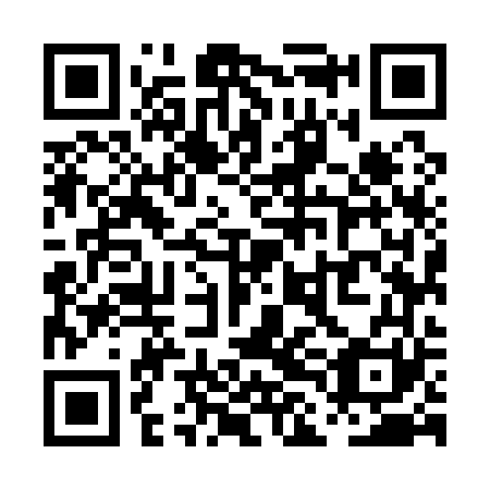 QR code for PLM161