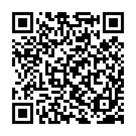 QR code for PLQ 493