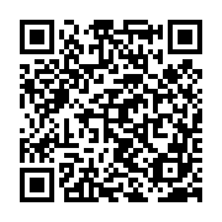 QR code for PLS 462