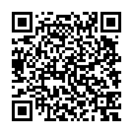 QR code for plate PMN 438