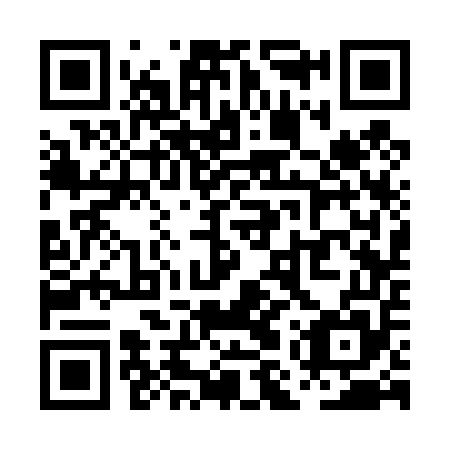 QR code for PMS 455