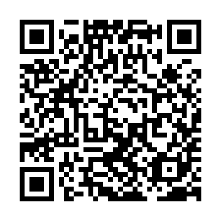 QR code for plate PNS 981