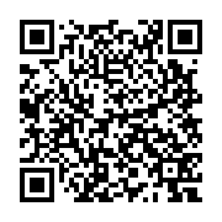 QR code for PPB 173
