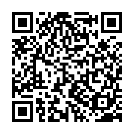 QR code for PPK 951