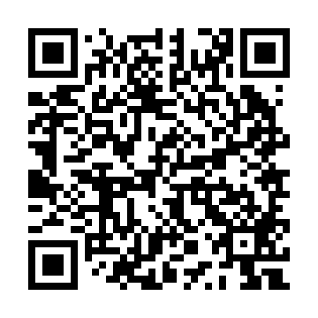 QR code for plate PPZ 289